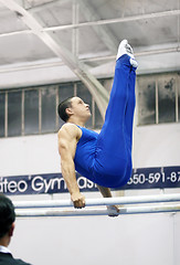 Image showing Gymnast on parallel bars