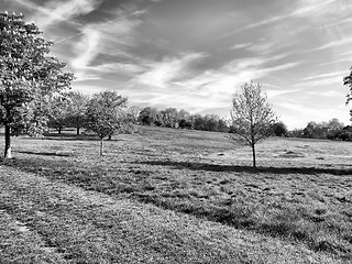 Image showing Primrose Hill, London