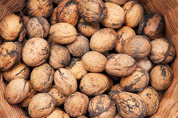 Image showing Nuts