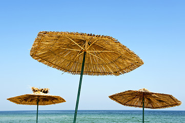 Image showing Summer parasols