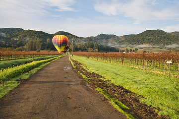 Image showing Balloons