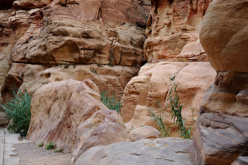 Image showing In Siq Canyon at Petra