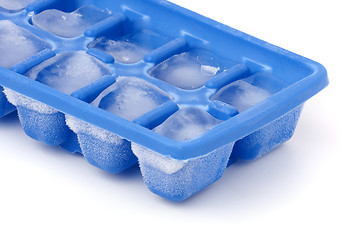 Image showing Frozen Ice Cube Tray