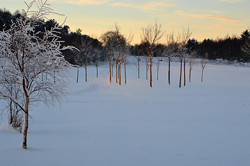 Image showing Sola golfbane en vinterdag