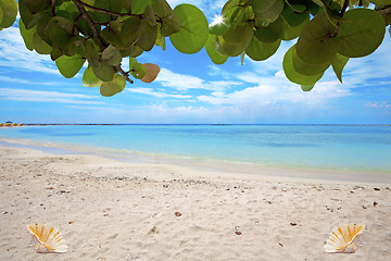 Image showing Baby beach