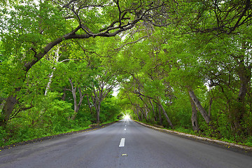 Image showing Road on Curacao