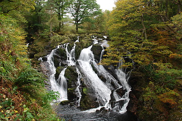 Image showing Waterfall in forest