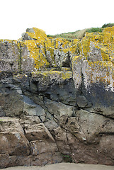 Image showing Yellow lichen on cracked rock