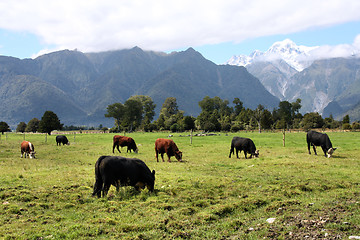 Image showing New Zealand