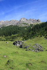 Image showing Alpine meadow