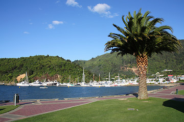 Image showing Picton