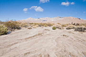 Image showing Snowy field