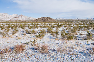 Image showing Snowy field