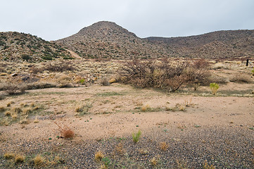 Image showing Desert