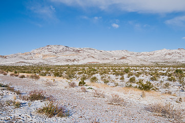 Image showing Snowy field