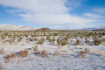 Image showing Snowy field