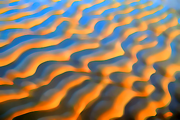 Image showing Sand ripples