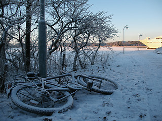 Image showing bicycle on snow