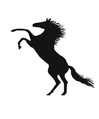 Image showing A magnificent rearing stallion in silhouette