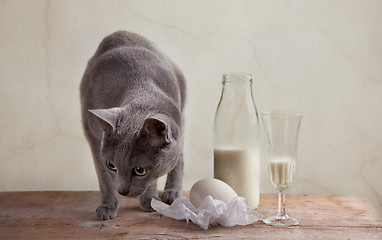 Image showing Milk and Eggs