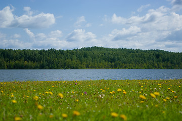 Image showing Lake shore