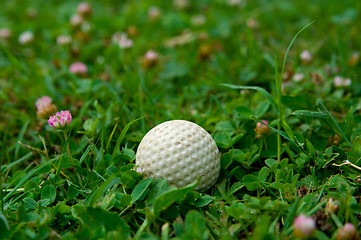 Image showing Golf ball