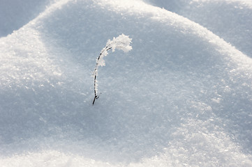 Image showing Winter landscape