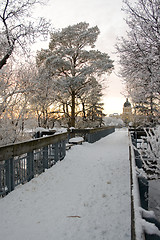 Image showing Winter in Regina
