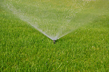 Image showing grass sprinkler