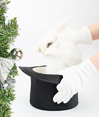 Image showing rabbit symbol of 2011