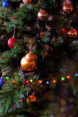 Image showing Christmas fur-tree
