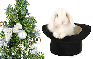 Image showing rabbit symbol of 2011