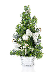 Image showing Christmas firtree