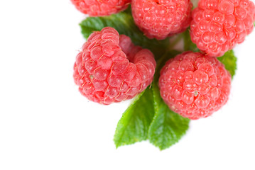 Image showing fresh raspberry