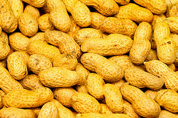 Image showing Peanuts shells