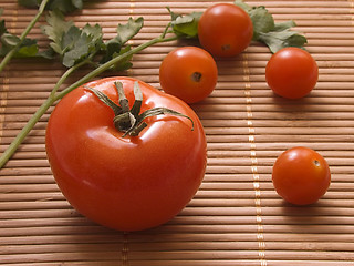 Image showing Fresh tomatoes I