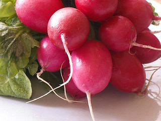 Image showing Garden radish