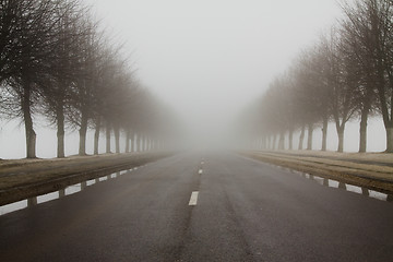 Image showing Road to a fog