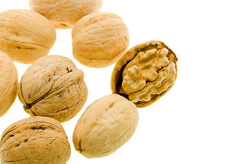 Image showing Walnuts