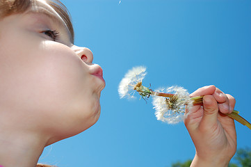 Image showing dandelion wishing blowing child