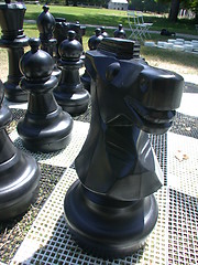 Image showing Huge Chess