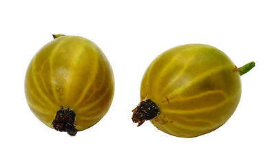 Image showing Gooseberry, isolated