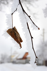 Image showing Winter landscape