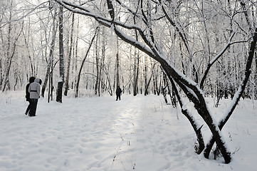 Image showing Winter landscape