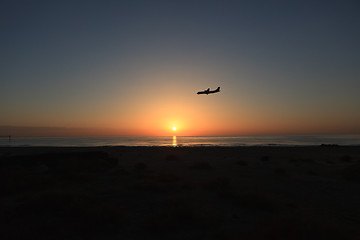 Image showing Fly in the sunrise