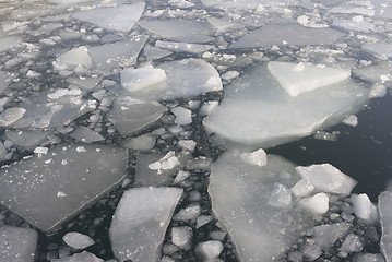 Image showing Pack ice in January