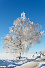 Image showing Winter road on a sunny frosty day