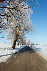 Image showing Winter road on a sunny frosty day