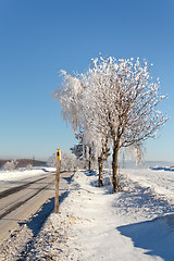 Image showing Winter road on a sunny frosty day