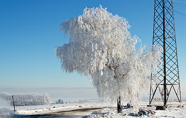 Image showing Winter road on a sunny frosty day